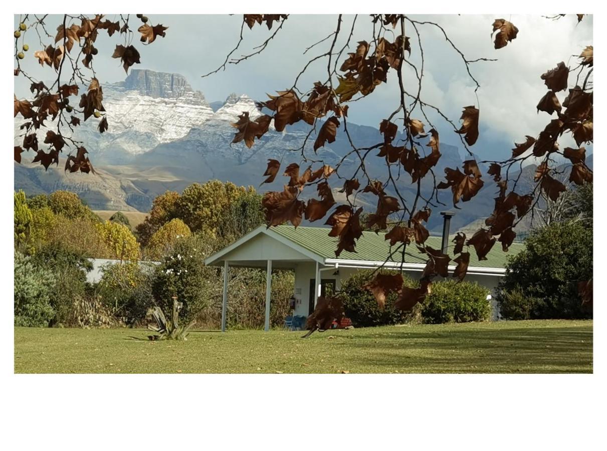 Swallowfield Cottage Champagne Valley 외부 사진